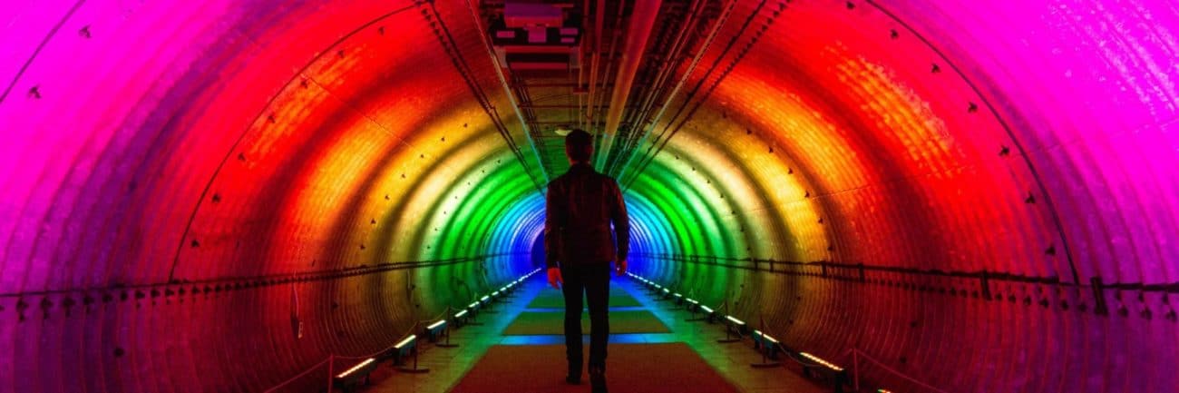 7 of the Best Things to See and Do in March in NYC 