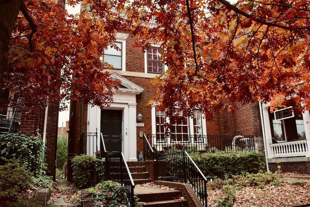 Understanding Squatter’s Rights in New York: What You Need to Know